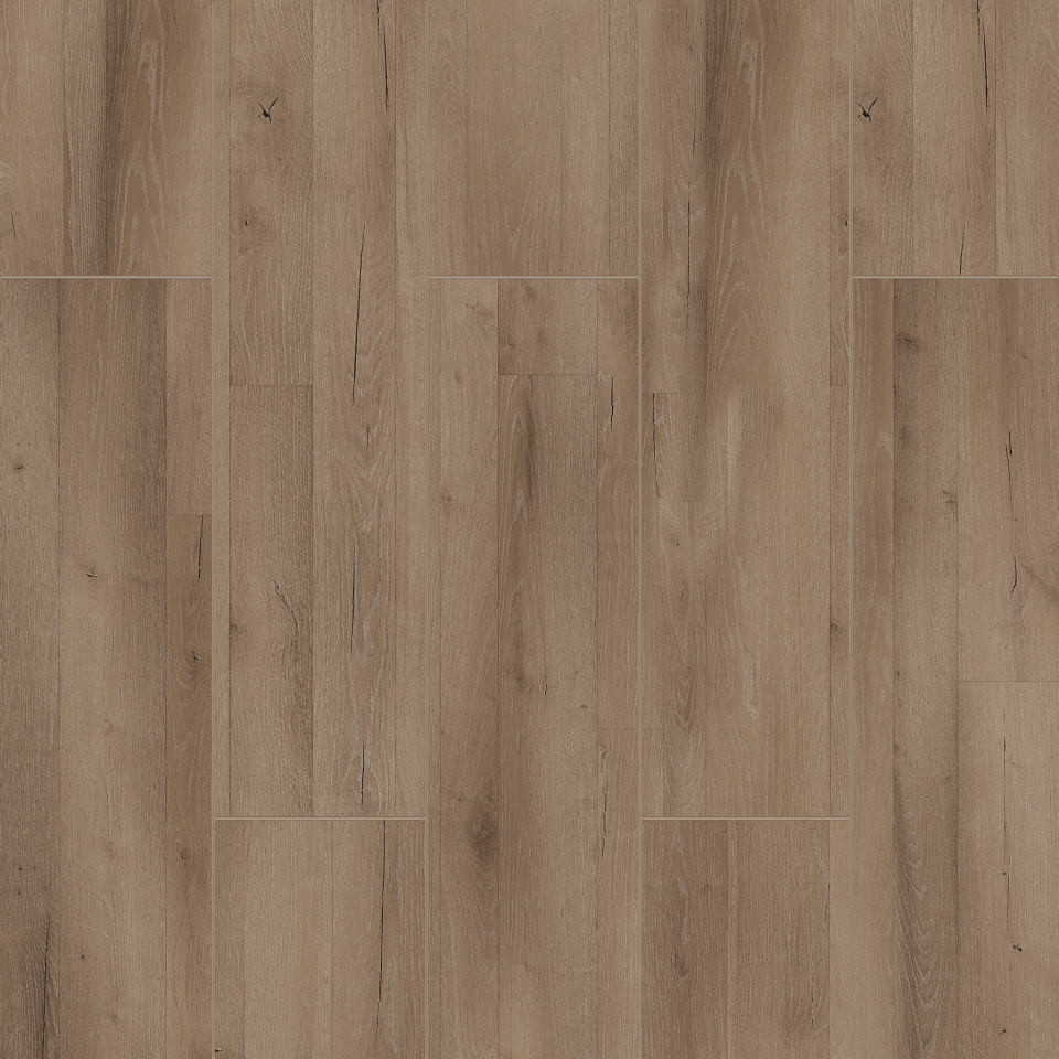 serenza sonora 2505 Resmi