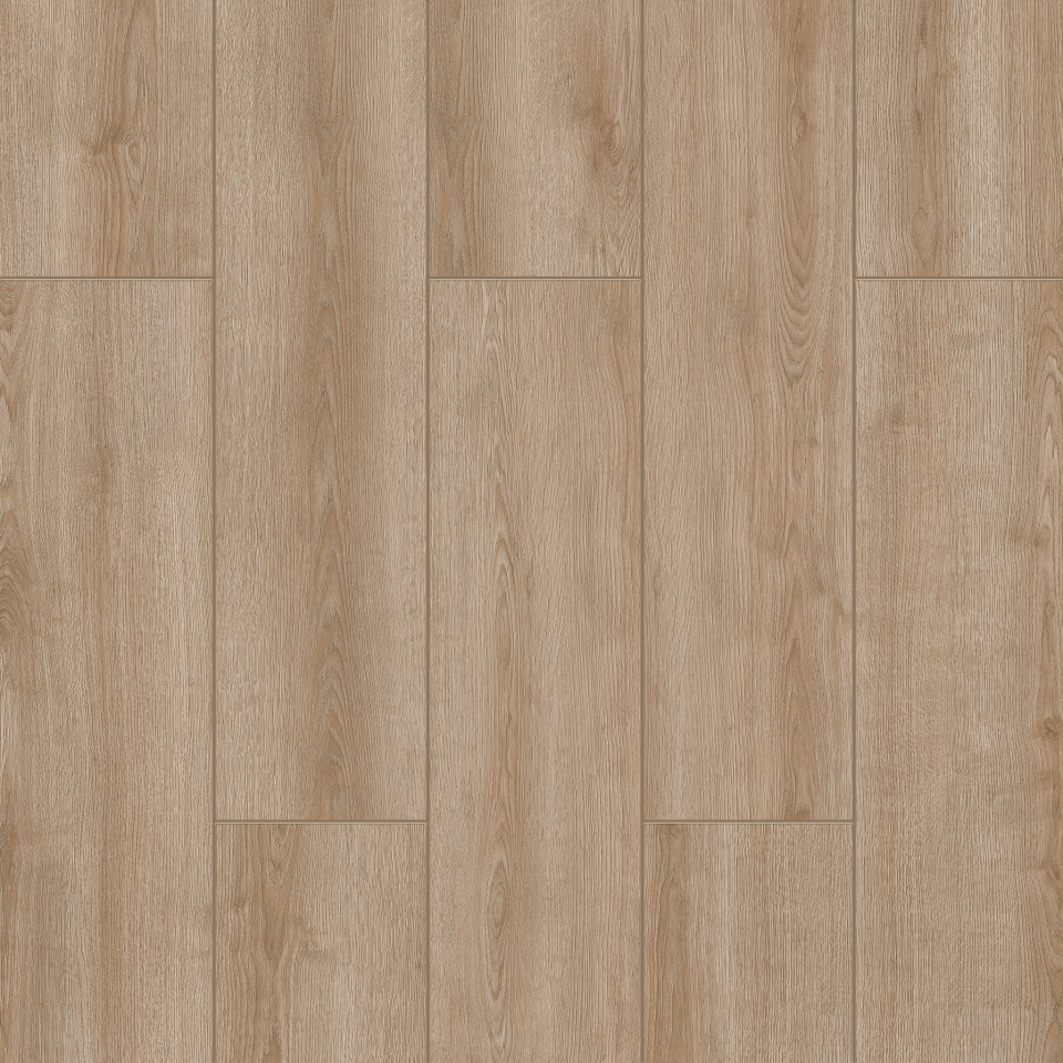 Barok Oak - 2101 Resmi
