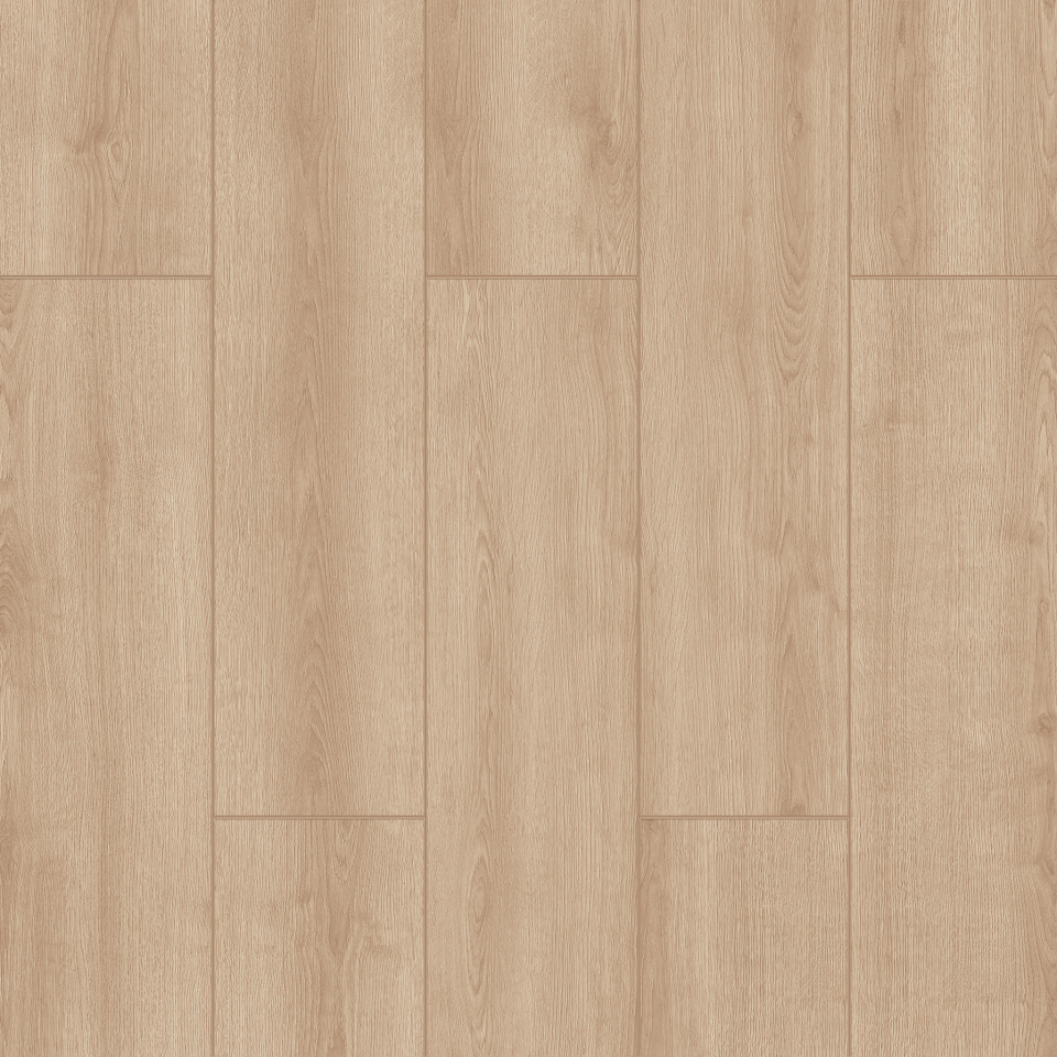 Belgrad Oak - 2102 Resmi