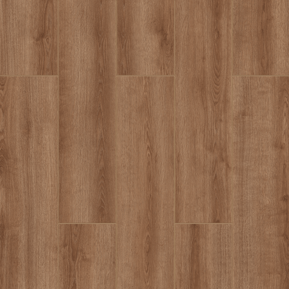 Albero Oak - 2103 Resmi