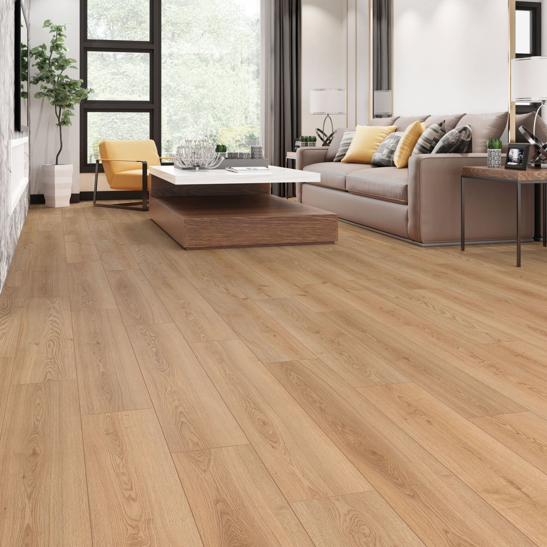 Kafkas Oak - 709 Resmi