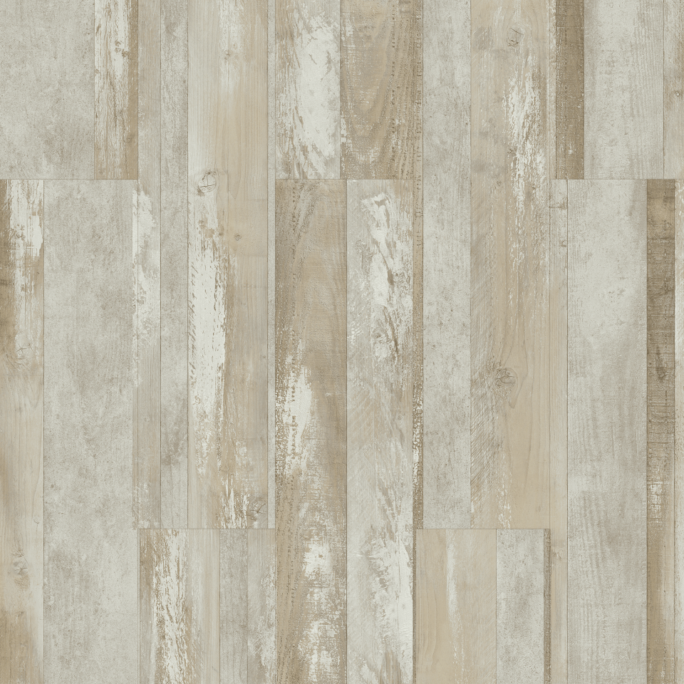 Ephesus Pine - 713 Resmi