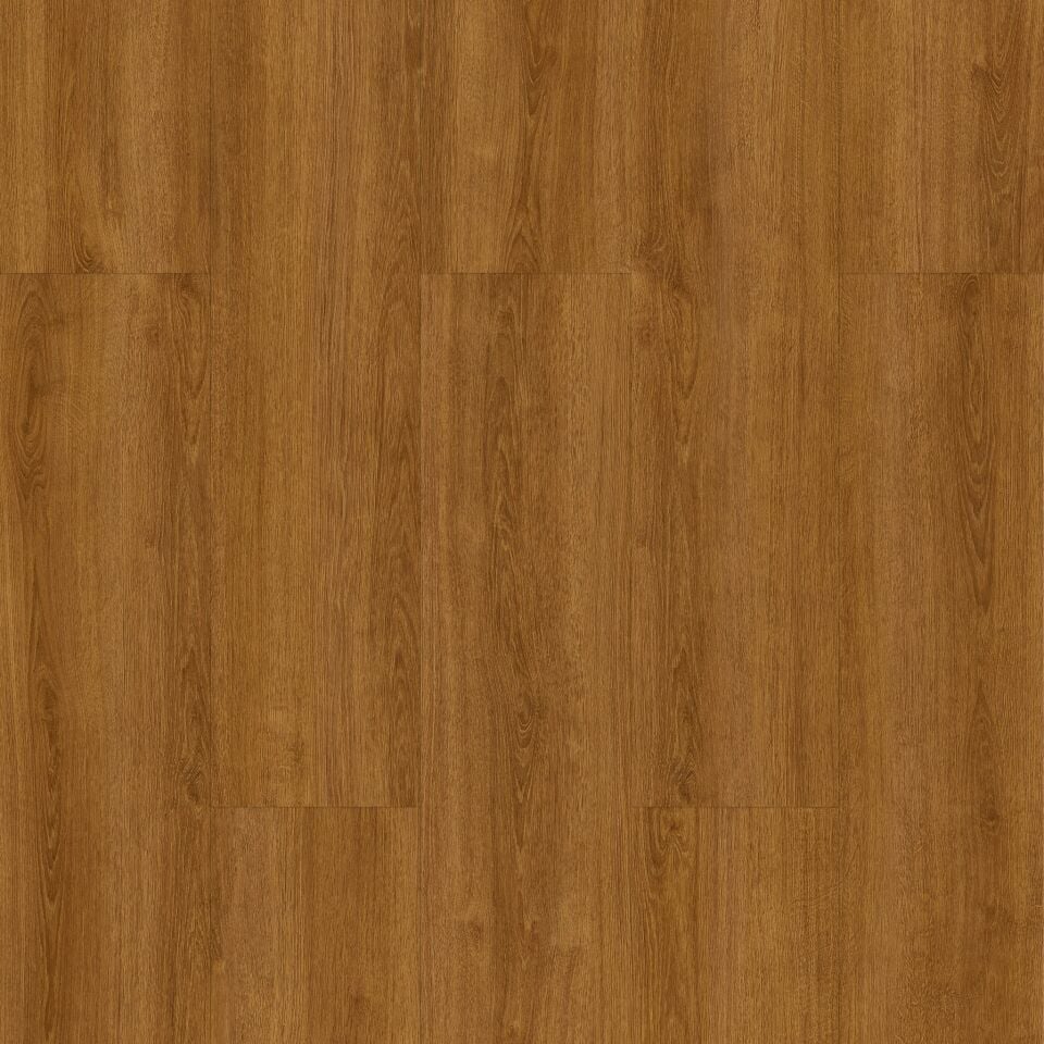 Volga Oak - 731 Resmi
