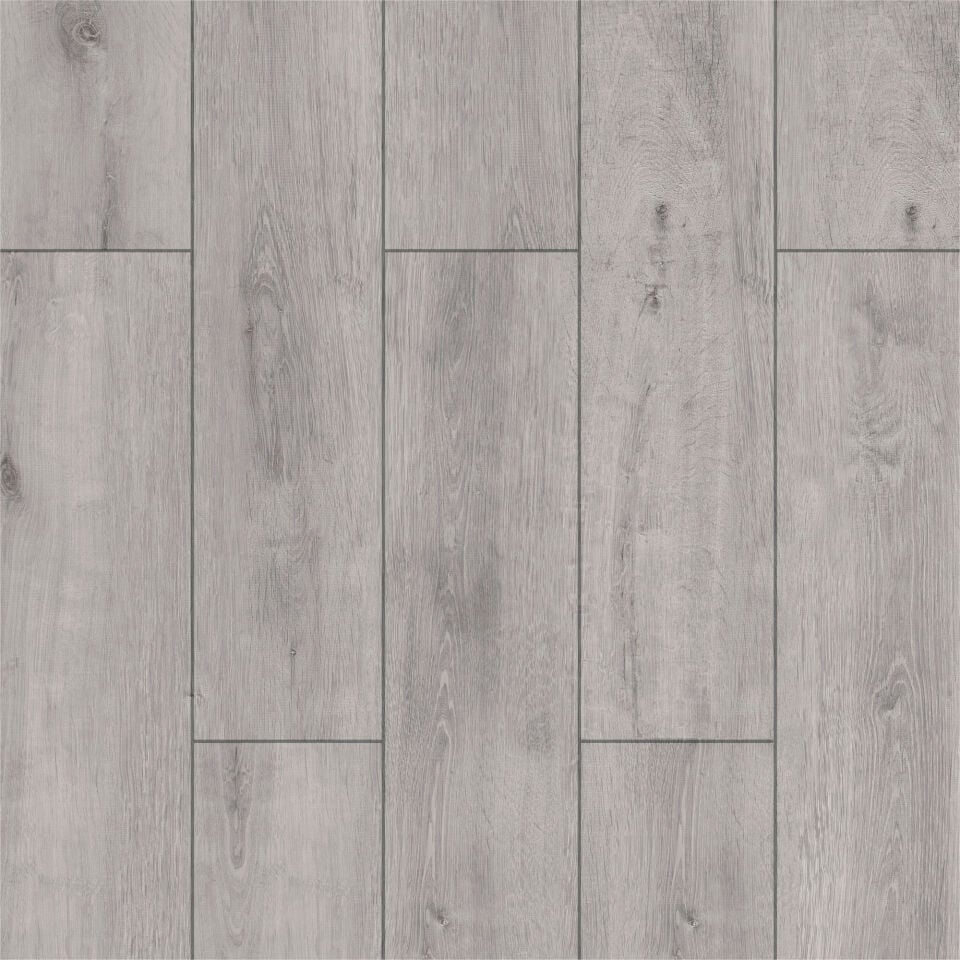Liva Meşe - 5003 Resmi