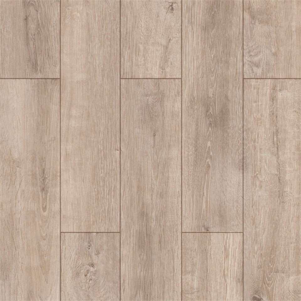 Roble Acar - 5004 Resmi