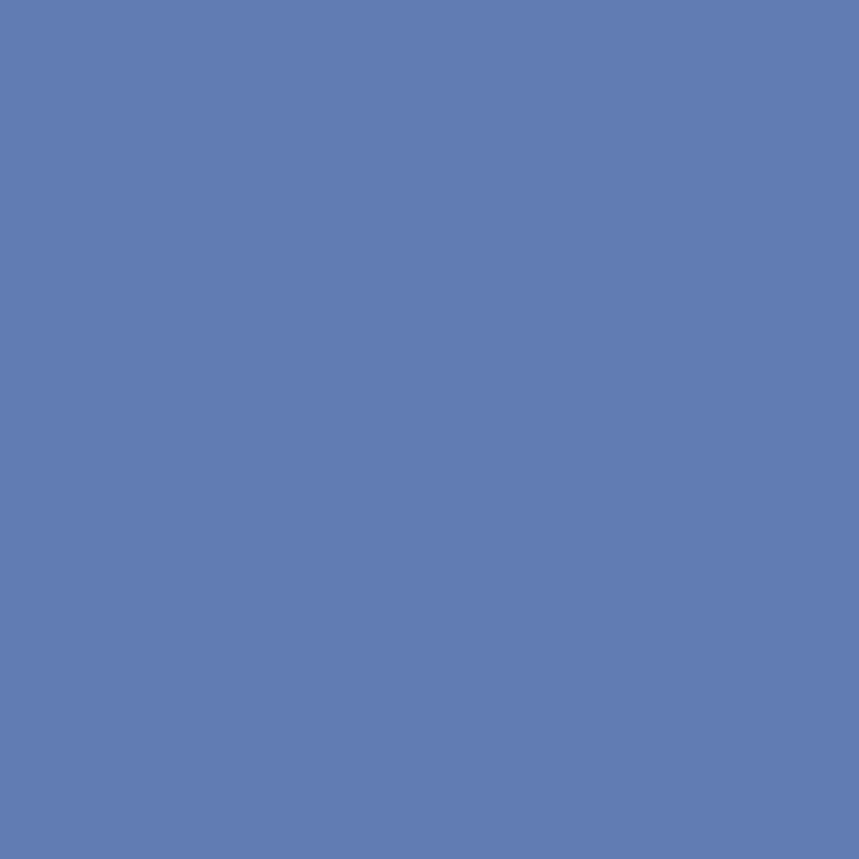 Bleu Resmi