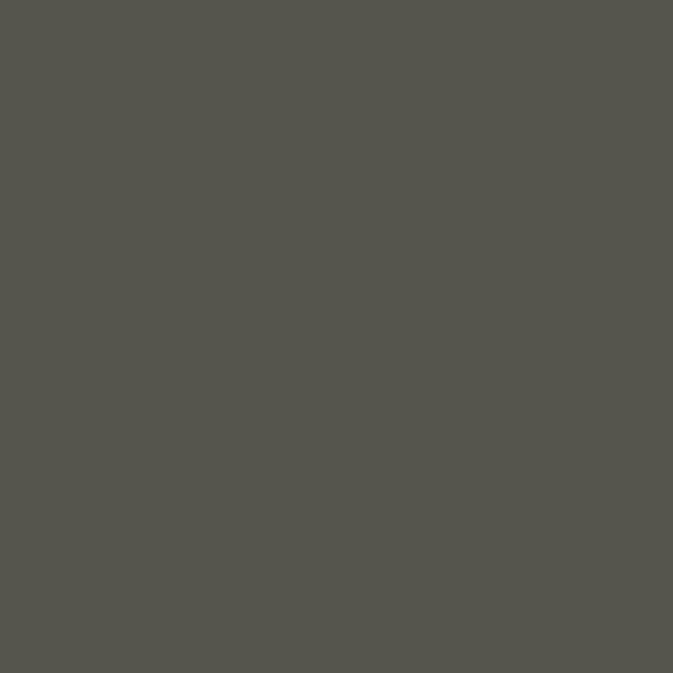 Iris Grey Resmi